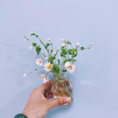 特朗普想抽身，以色列有人慌到“夜不能寐”